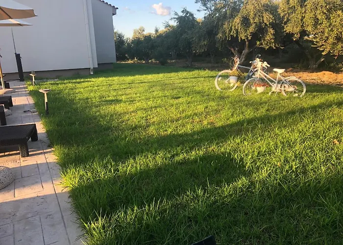 Sophia فيلة Soroni